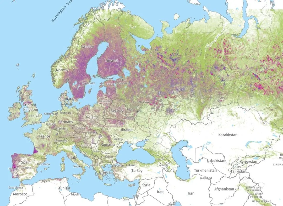 Environmental Management