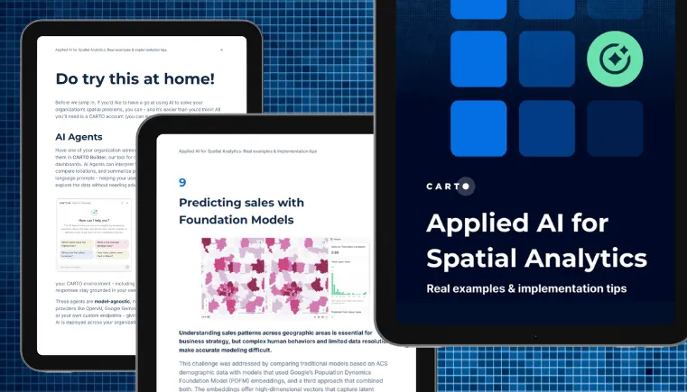 Applied AI for Spatial Analytics report