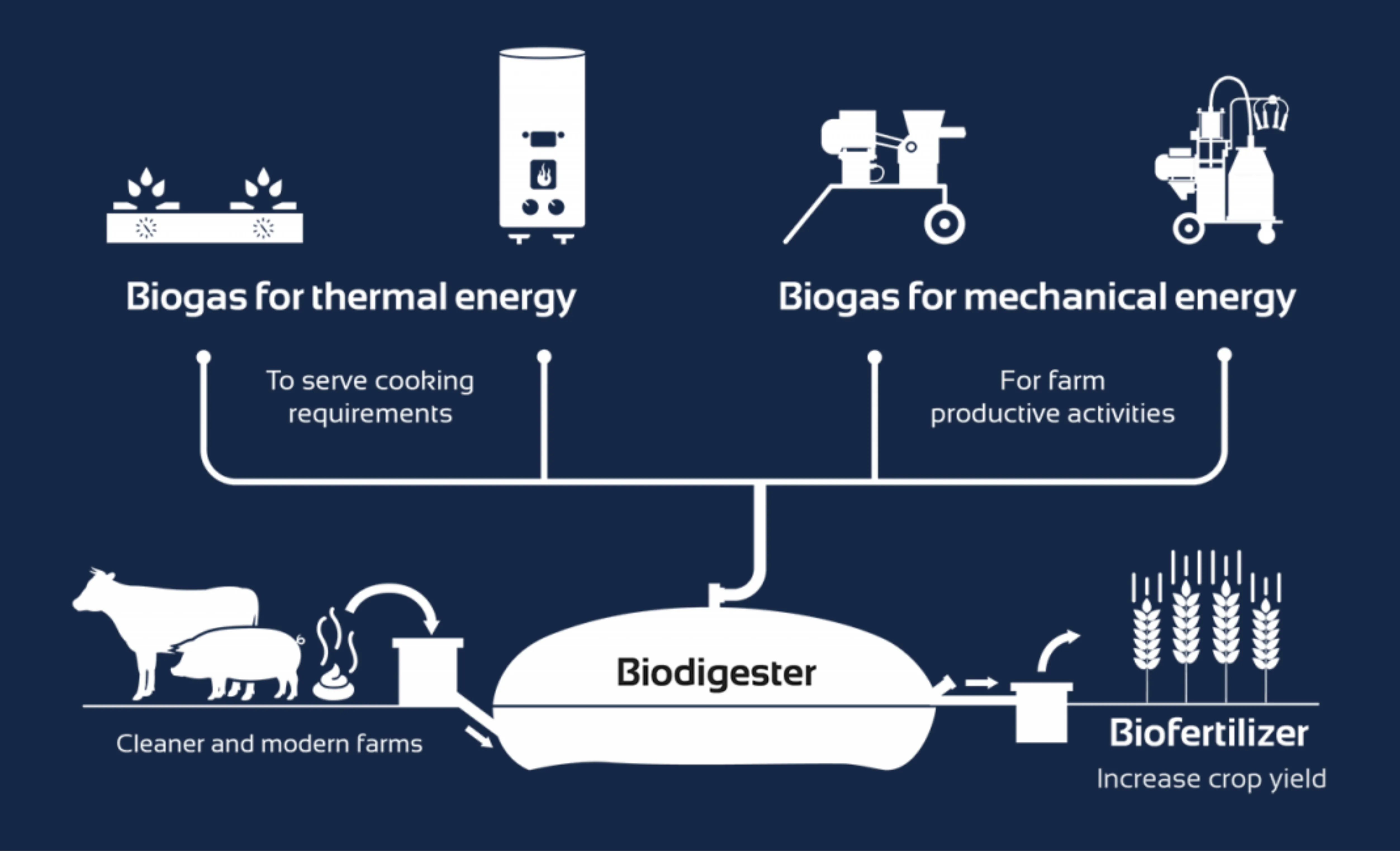Sistema.bio circular economy graphic