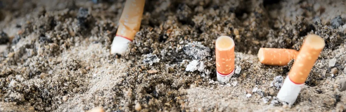 Photo of discarded cigarette butts