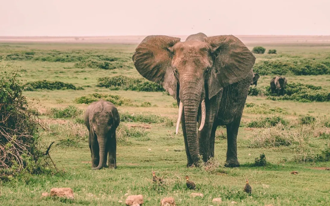 Patching Plain PostgreSQL for Parallel PostGIS Plans