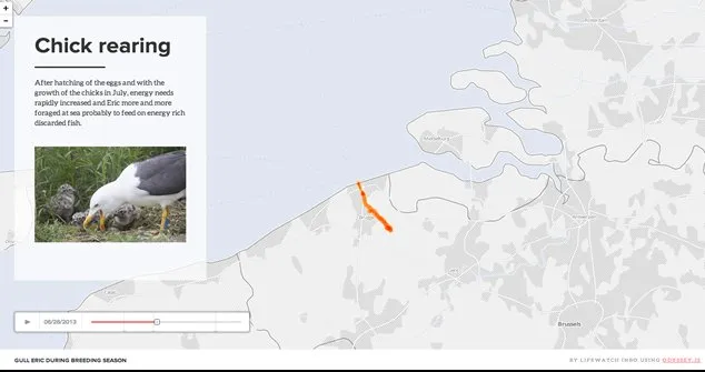 map of Gull Erick during breeding season