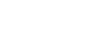 The Australian Football League (AFL)
