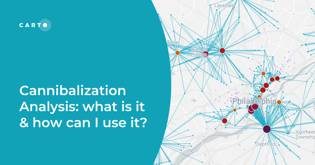 Cannibalization Analysis: what is it & how can I use it?