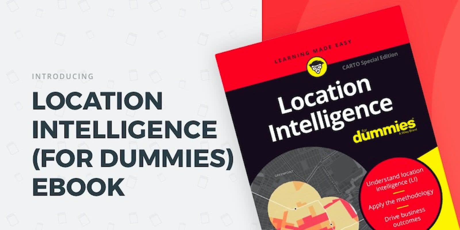 Location Intelligence for dummies.jpg