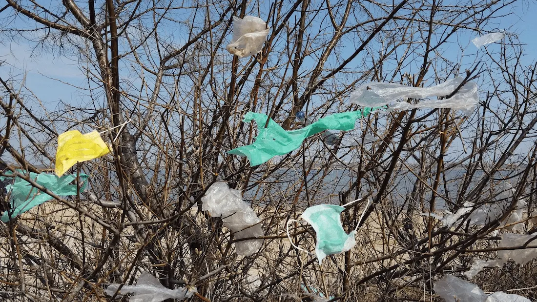 Photograph of discard litter